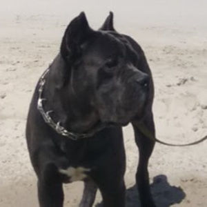 Meet your Posher, Ukraine